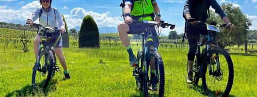 The Juice of Romagna An Ebike Wine Experience from Forlì