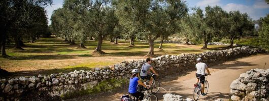 Cycling Across Salento: Capo di Leuca 4-Hour Bike Tour