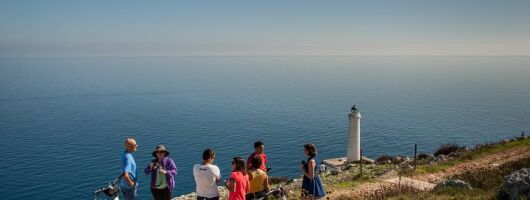 Otranto and Surroundings Full-Day Bike Tour