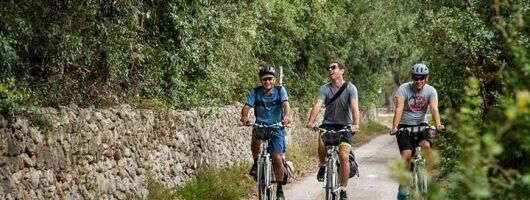Lecce to Cesine Protected Natural Reserve Full-Day Bike Tour