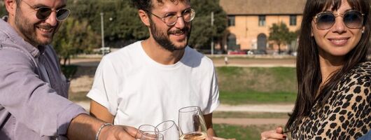 The Highlights of Rome on board a Vintage Fiat Van and Aperitif