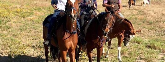 Rome : Horseback Riding with meals and wine included 