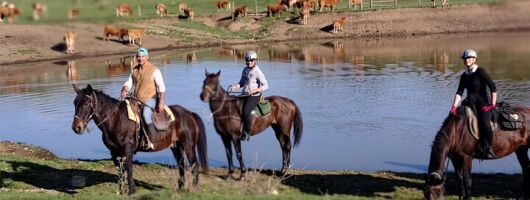 Daily out of Rome : Horseback ride with meals & wine included 