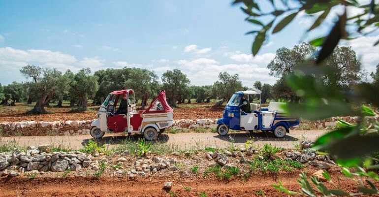 Ostuni Tuk Tuk Historical Olive Oil Tour