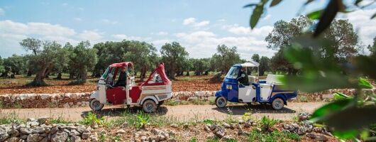 Private Tuk Tuk Tour of the Millenary Olive Groves in Ostuni