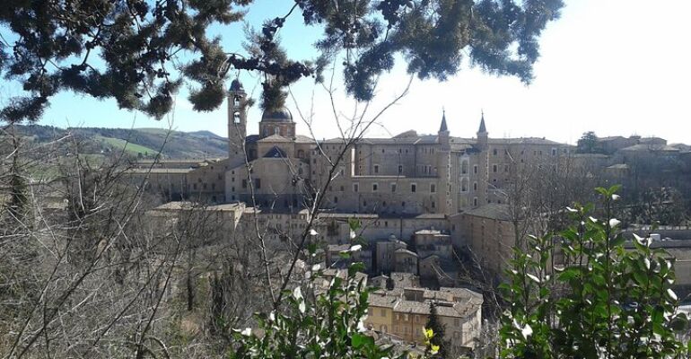 Urbino Guided Tour of Ducal Palace