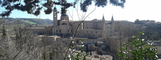 Visit of the Ducal Palace of Urbino