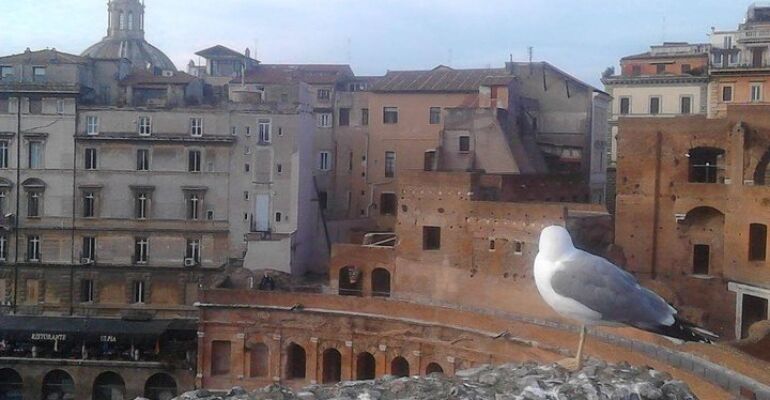 Rome Hidden Gems Guided Walking Tour