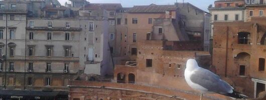 The hidden corners of Rome