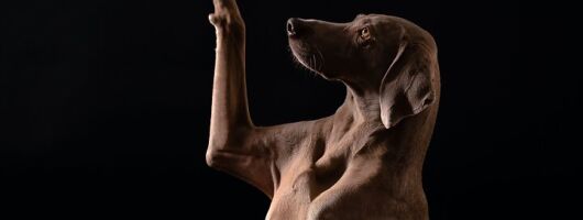 3-Hour Private Photographic Tour in Chianti and Val d'Orcia Florence