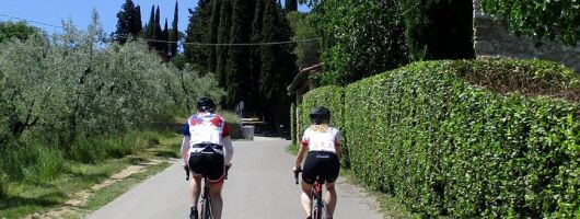 Endless beauty: 1 day rental of a gravel or full carbon race bike
