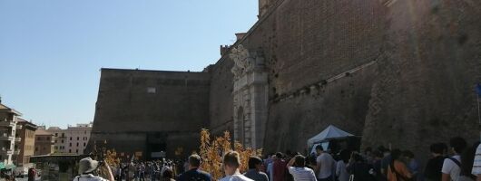 Vatican city private tour with museum,sistine chapel& st Peter VIP no line entry