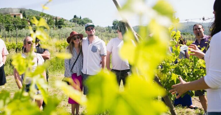 Castiglion Fiorentino Tuscan Wine Tasting Tour