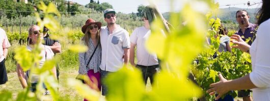 Tour & Tasting