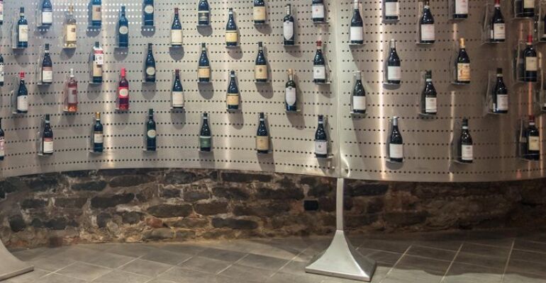 Castiglione Falletto Wine Tasting Experience