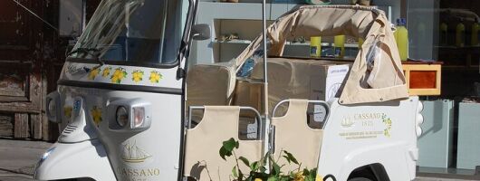 Private tour of limoncello igp with tasting by the sea