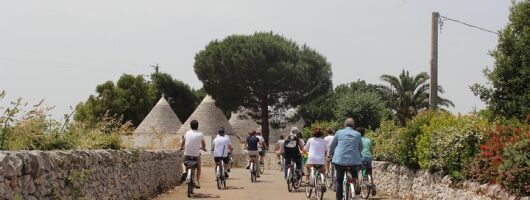 Private e-bike tour along Alberobello with lunch at local Masseria