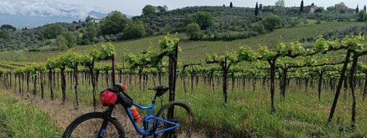 Mountain biking in the Tuscan Hills