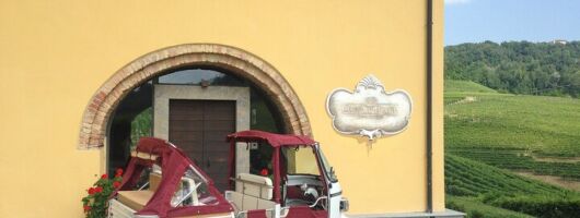 Half Day Private Tour Ape Calessino in the Barolo Langa