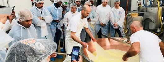 Bologna Food Experience: Factory tours & Family-Style Lunch
