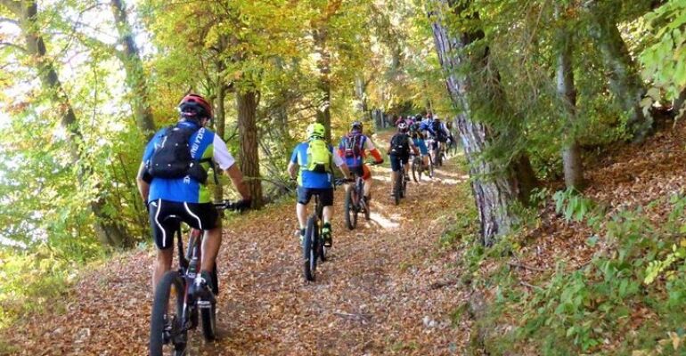 Lake Garda E-Bike Excursion and Rental