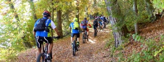 guided e-bike rental tours