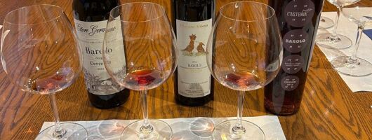 Tasting of Piedmontese wines. A journey in 5 tastings 