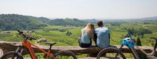 Valdobbiadene e-bike tour amongst vineyards UNESCO Prosecco Hills 