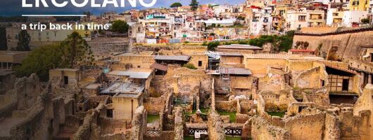 Herculaneum Private Tour 
