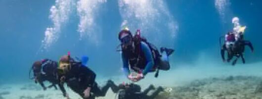 Guided dive for certified divers