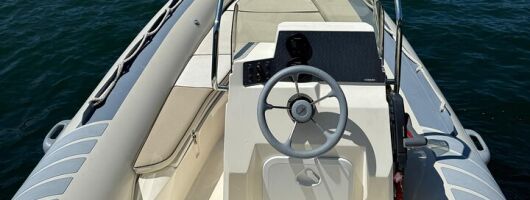Shared Boat Tour on Lake Como