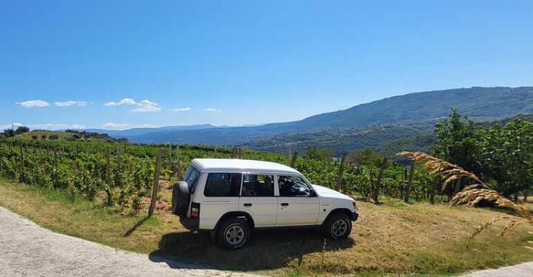 Istria Jeep Safari Wine and Truffle Tour