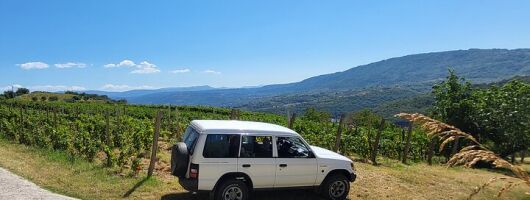 Private Slovenia's Coast Wine and Food Tasting