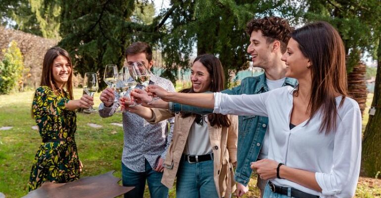 Valdobbiadene Organic Vineyard and Prosecco Tasting