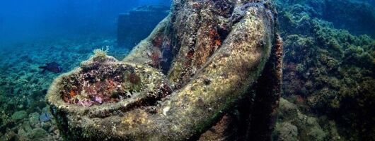 Double Dive in the Bay Park for certified divers