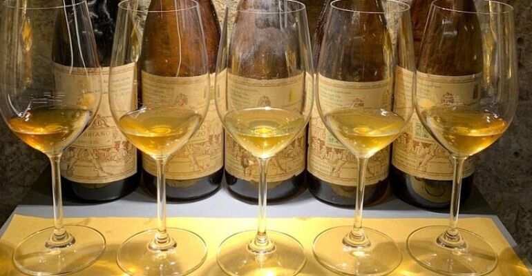 Pisa Wine Tasting and Local Pairing Experience