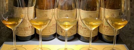 Wine Tasting with Local Bites in Pisa near the Tower