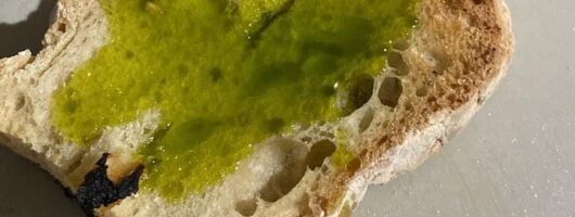 Perugia Olive Oil Tasting and Mill Guided Visit