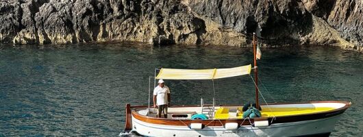 Private 4 Hours Island of Capri Tour