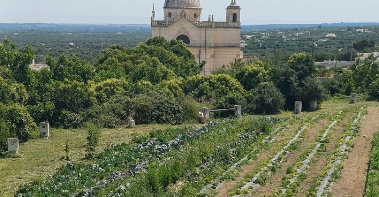 Ostuni Historical Culture and Food Tour