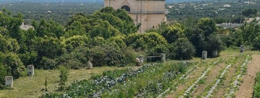 Walk And Aperitif At The Secret Gardens Of Ostuni