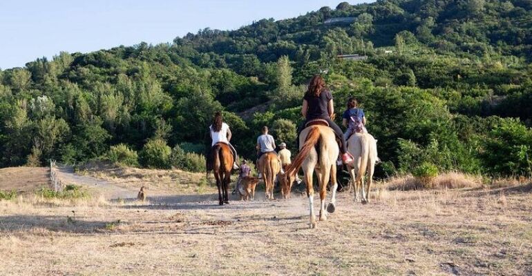Vesuvius Horseback Riding and Pompeii Tour
