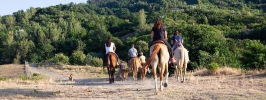 Pompeii Group Tour Excavations And Horse Riding And Lunch 