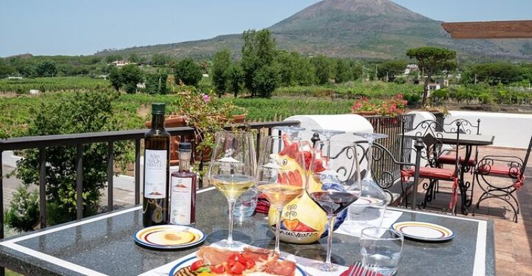 Pompeii Wine and Vineyard Tour Experience