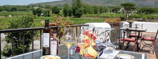 Pompeii Group Tour Excavations And Wine Tasting And Lunch