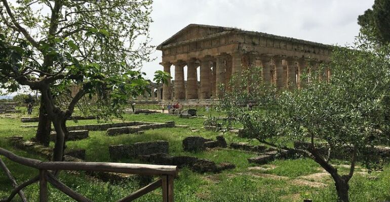 Paestum Mozzarella Farm and Ancient Temples Tour