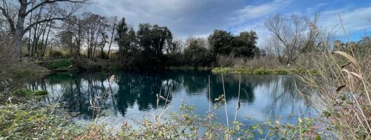 Private canoe tour on the River Cavata high sources