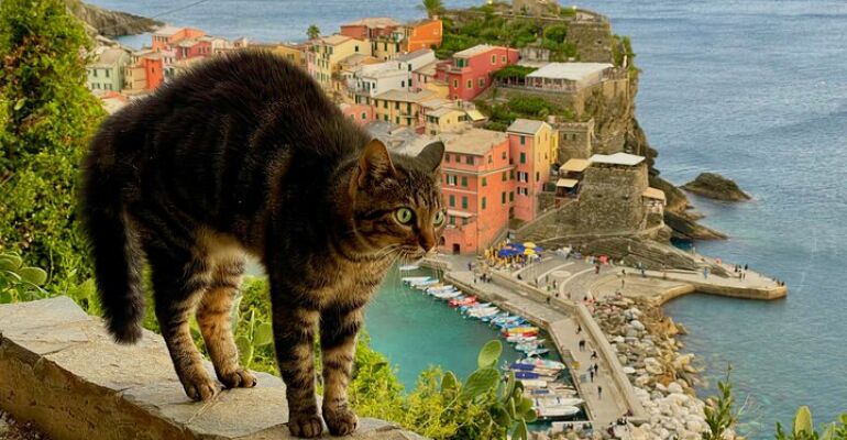 La Spezia Scenic Cinque Terre Village Tour