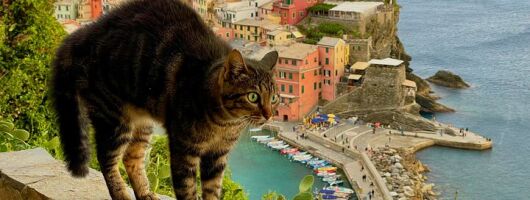 Classic Cinque Terre by Train or Ferry from La Spezia Cruise Port