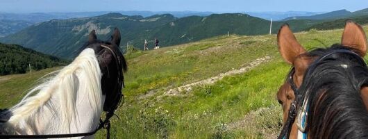 Horseback riding in the Tuscan hills